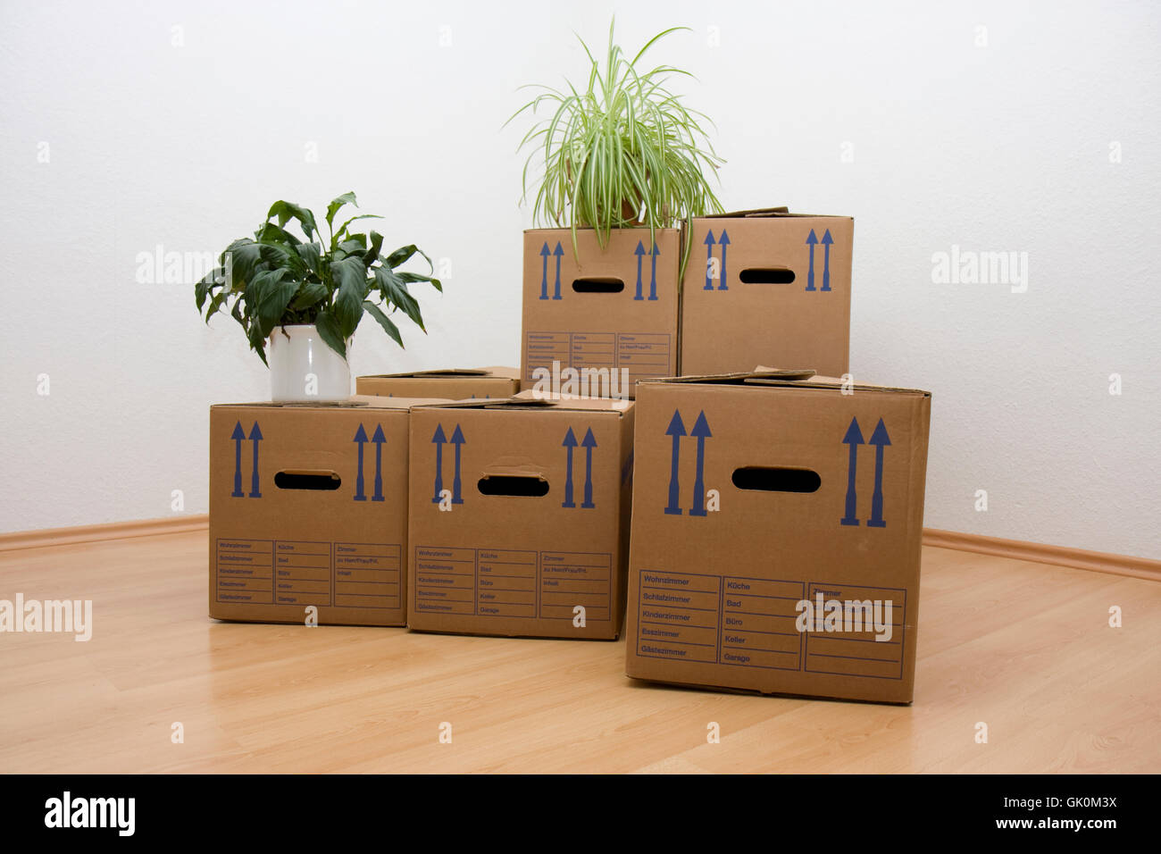 boxes removal remove Stock Photo Alamy