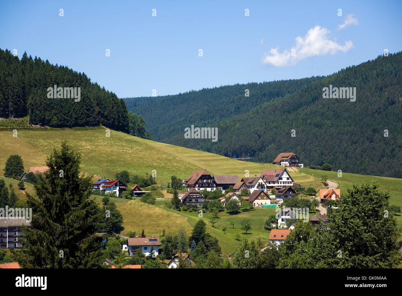 conifer black forest style of construction Stock Photo