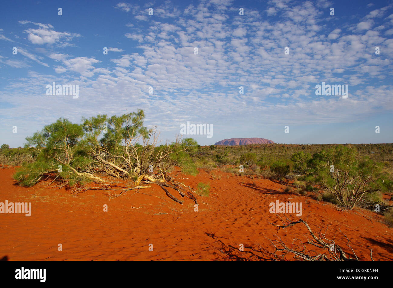 australia bush aborigines Stock Photo