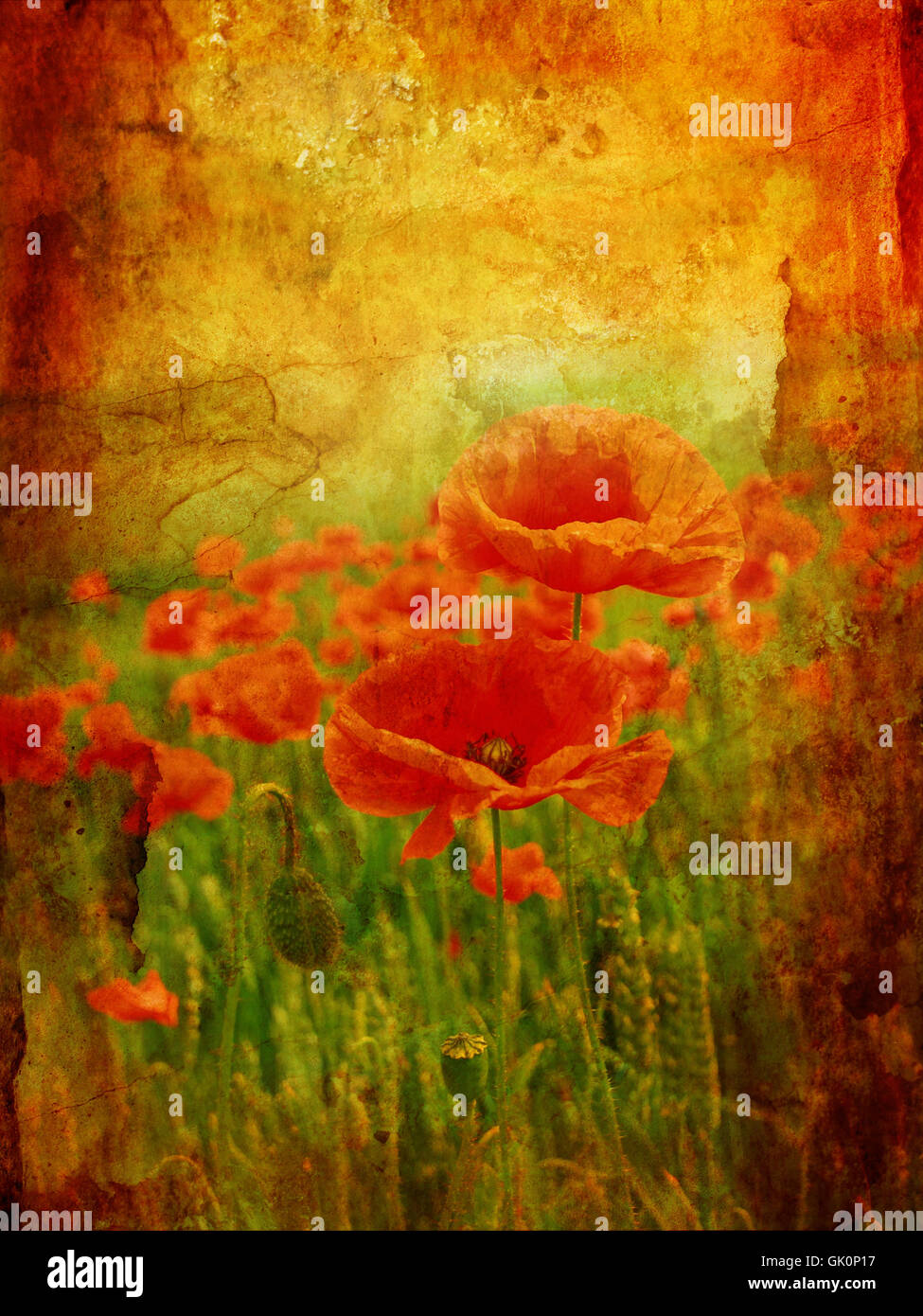Abstract art poppies hi-res stock photography and images - Alamy