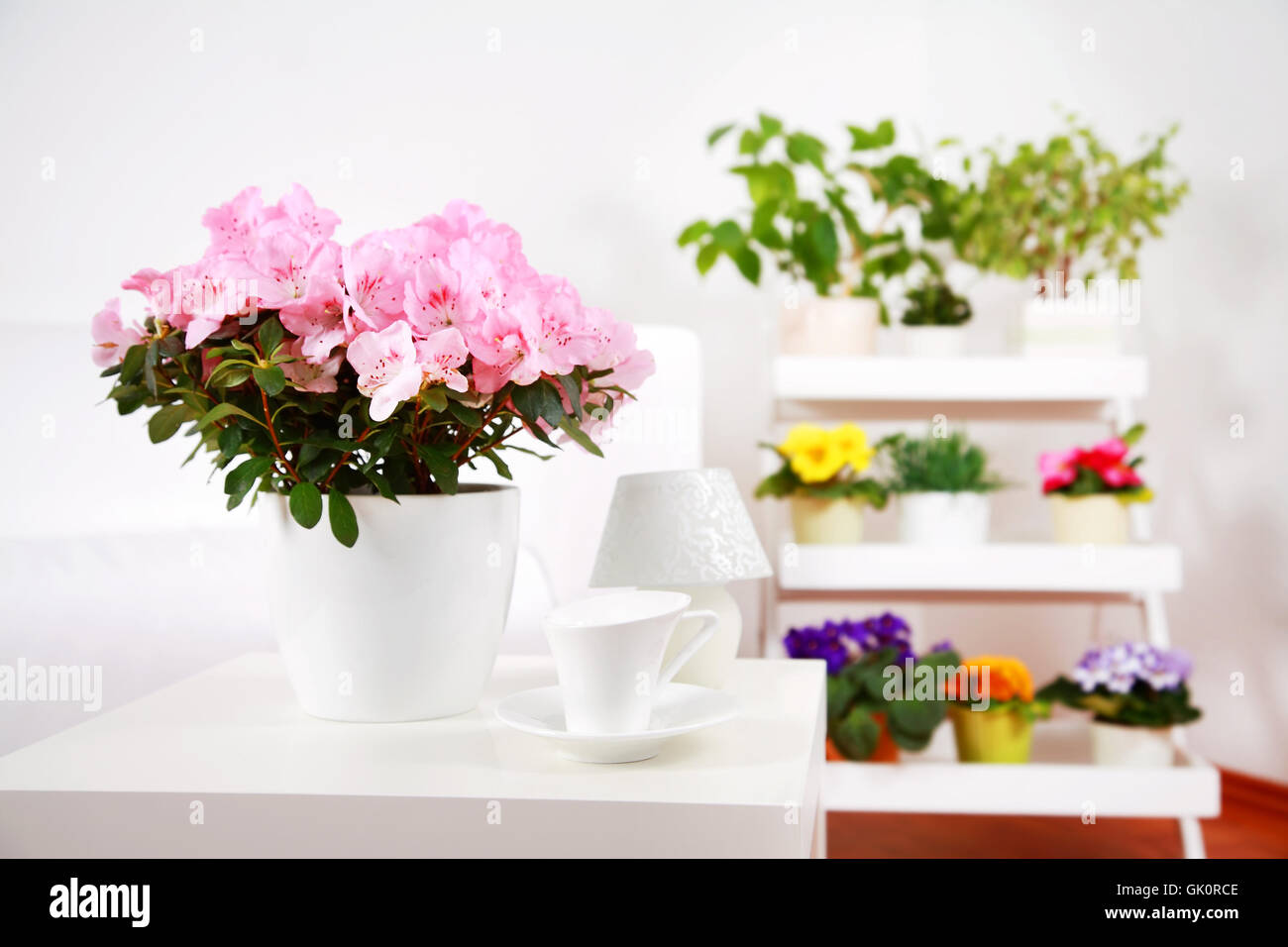 life exist existence Stock Photo