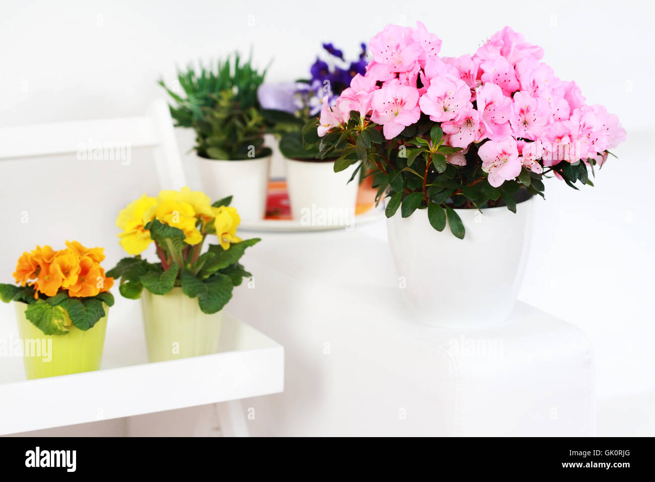 life exist existence Stock Photo