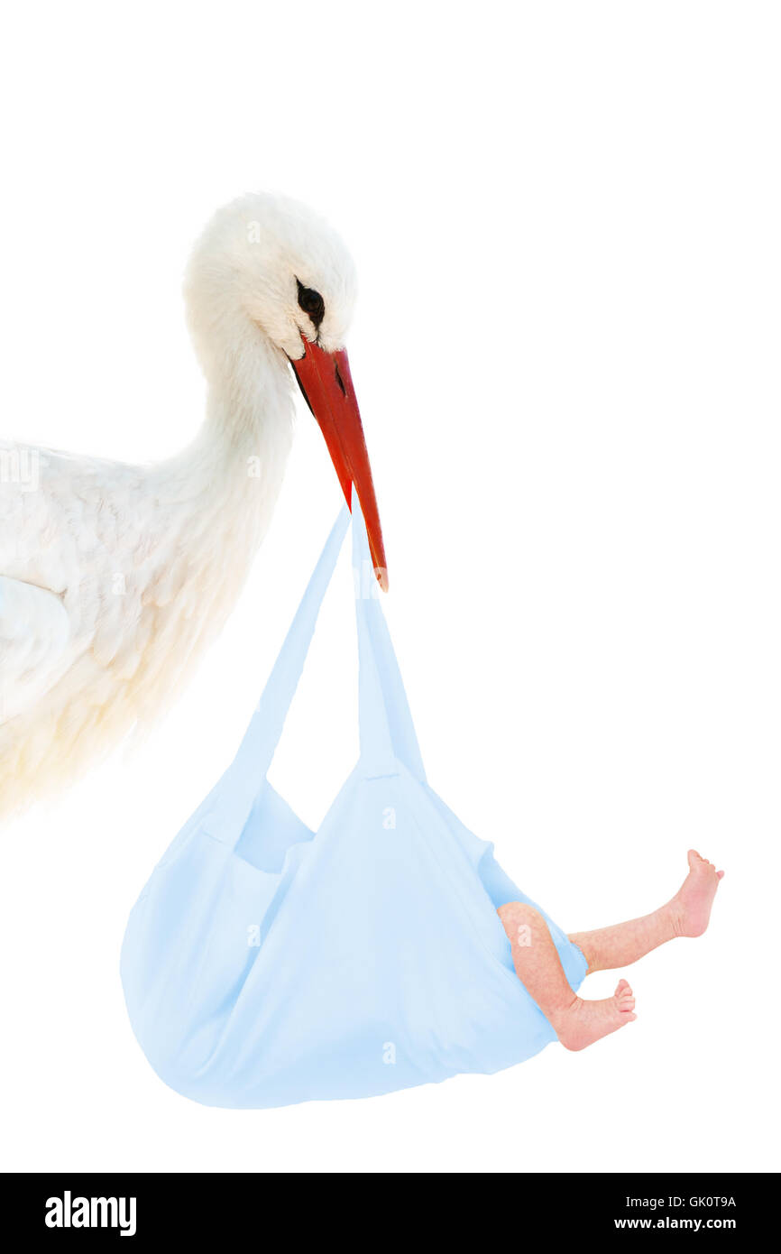 stork with baby in blue bag Stock Photo