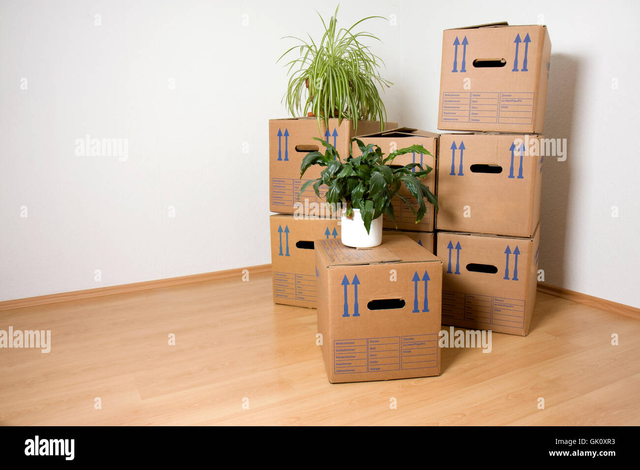 boxes removal remove Stock Photo Alamy