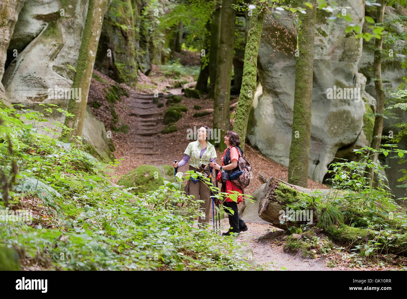 Mullerthal Trail High Resolution Stock Photography and Images - Alamy