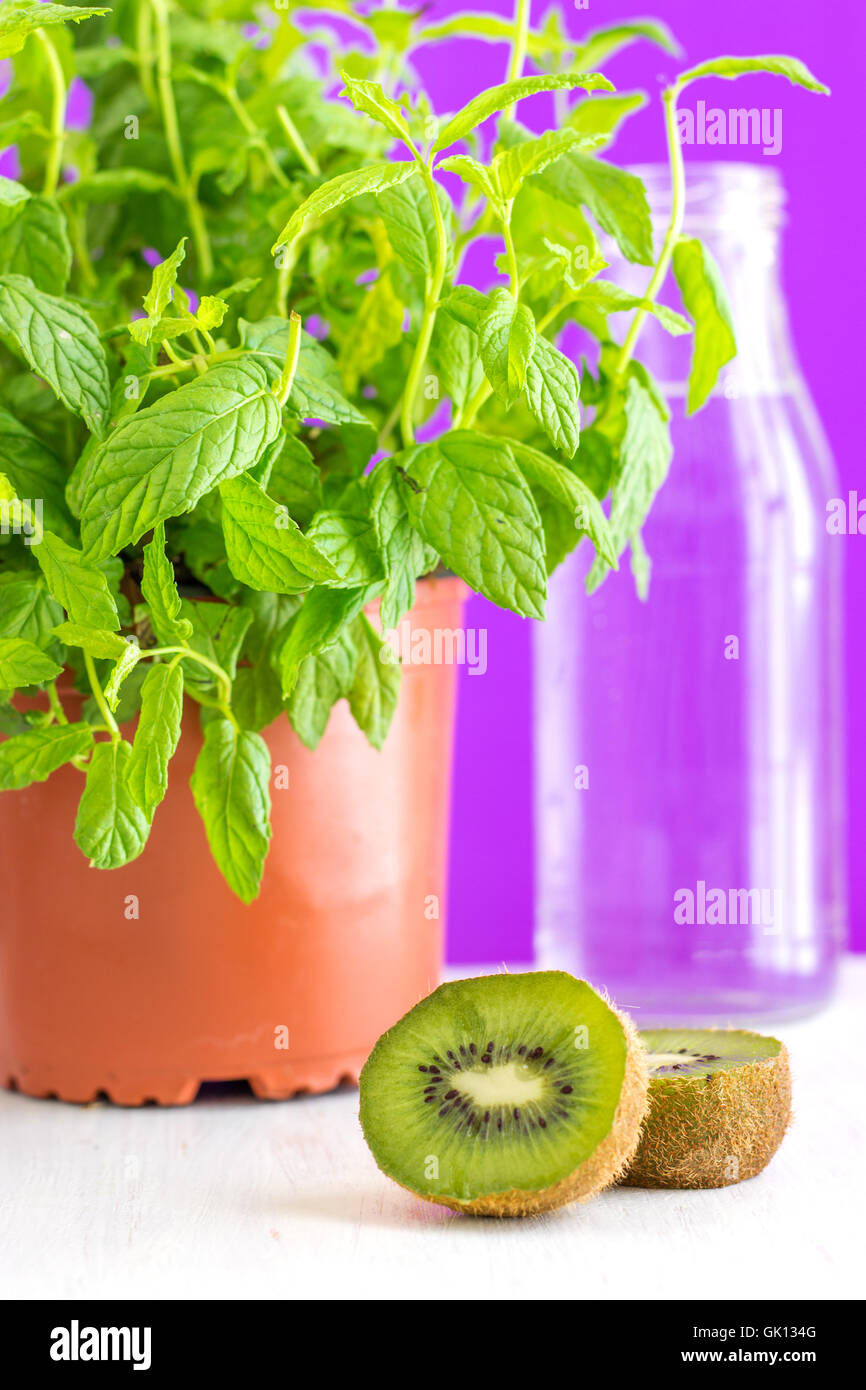 Kiwi and Mint Infused Water Stock Photo