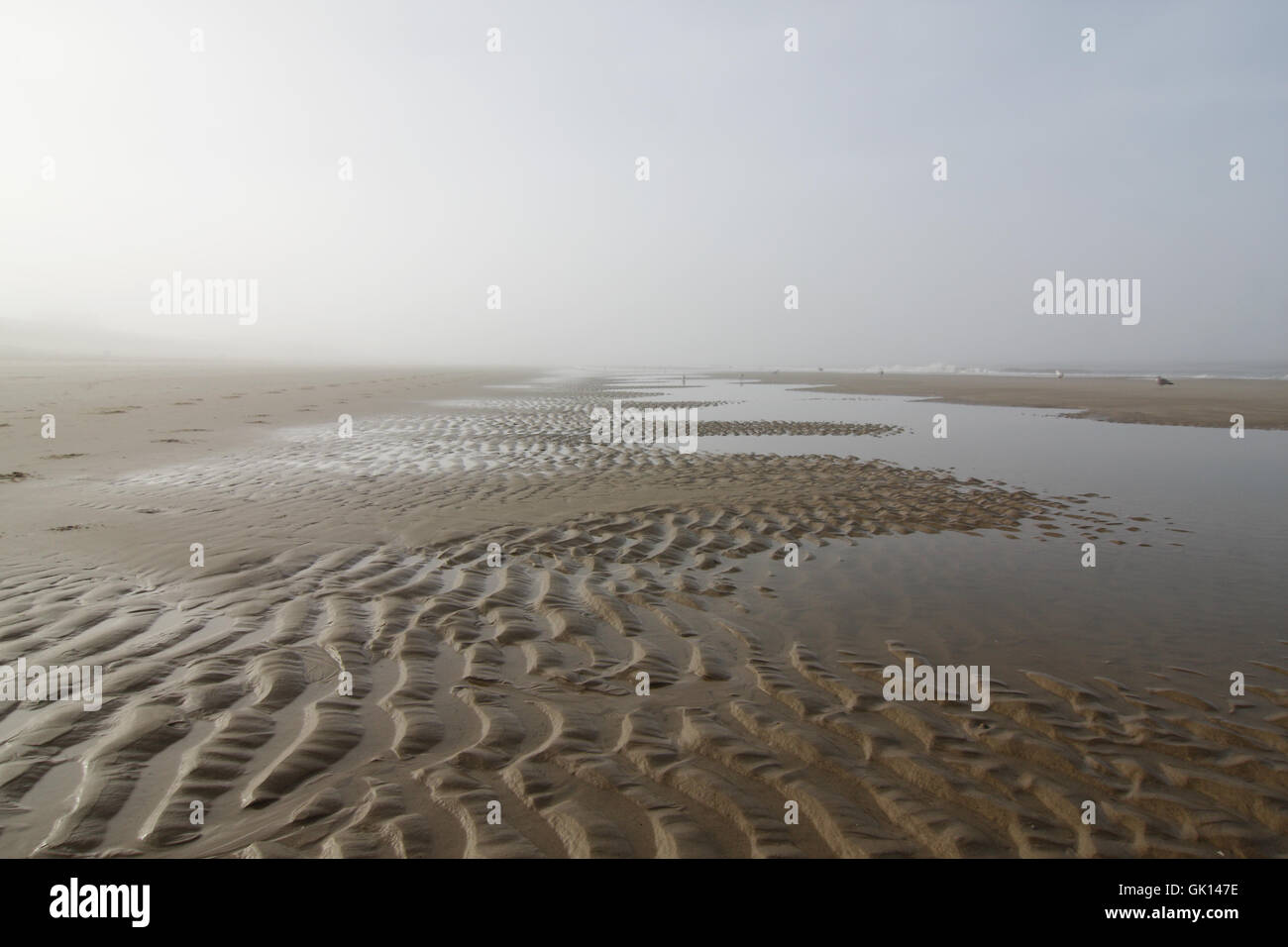 water north sea salt water Stock Photo Alamy
