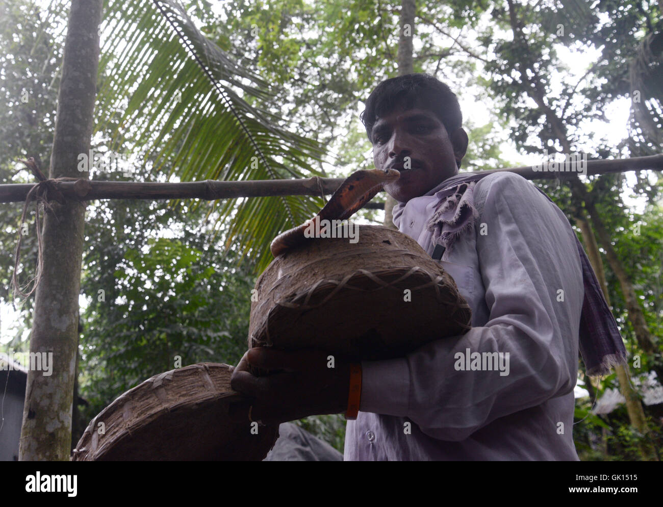 Kolkata, India. 17th Aug, 2016. Thousand of Devotees and snake charmer