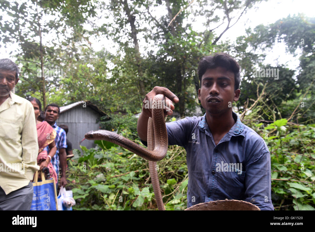 Kolkata, India. 17th Aug, 2016. Thousand of Devotees and snake charmer