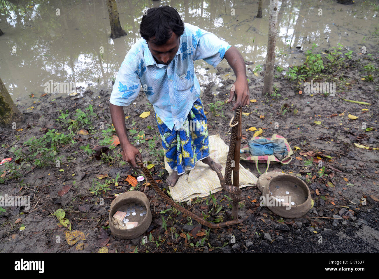 Kolkata, India. 17th Aug, 2016. Thousand of Devotees and snake charmer
