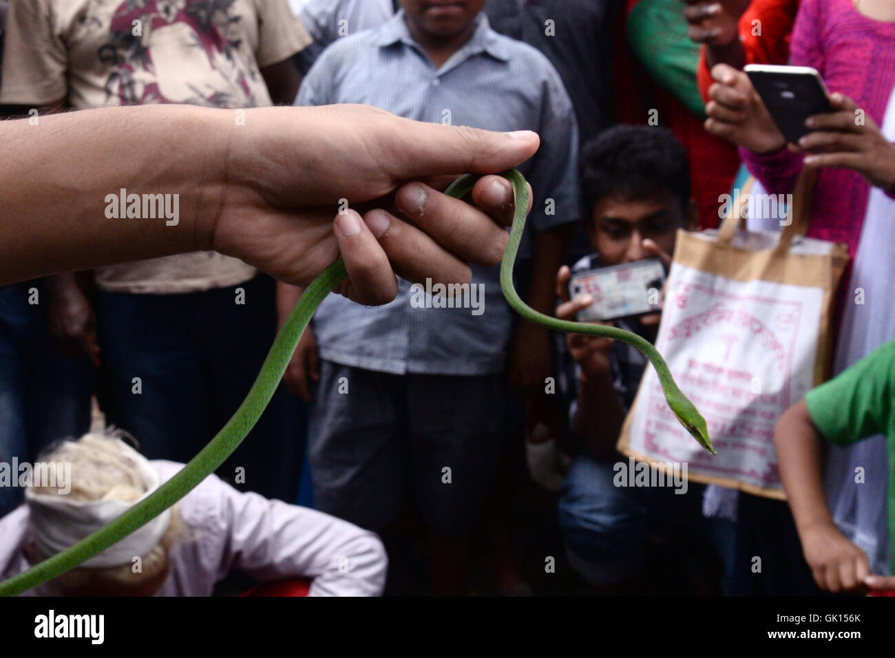 Kolkata, India. 17th Aug, 2016. Thousand of Devotees and snake charmer