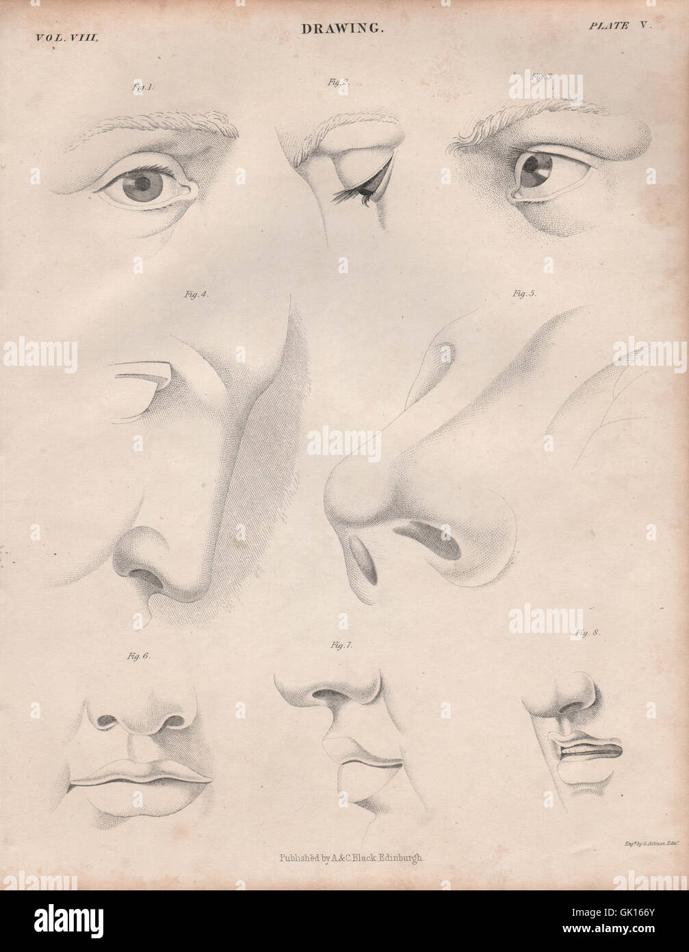 Figurative drawing. Eyes nose. BRITANNICA, antique print 1860 Stock Photo