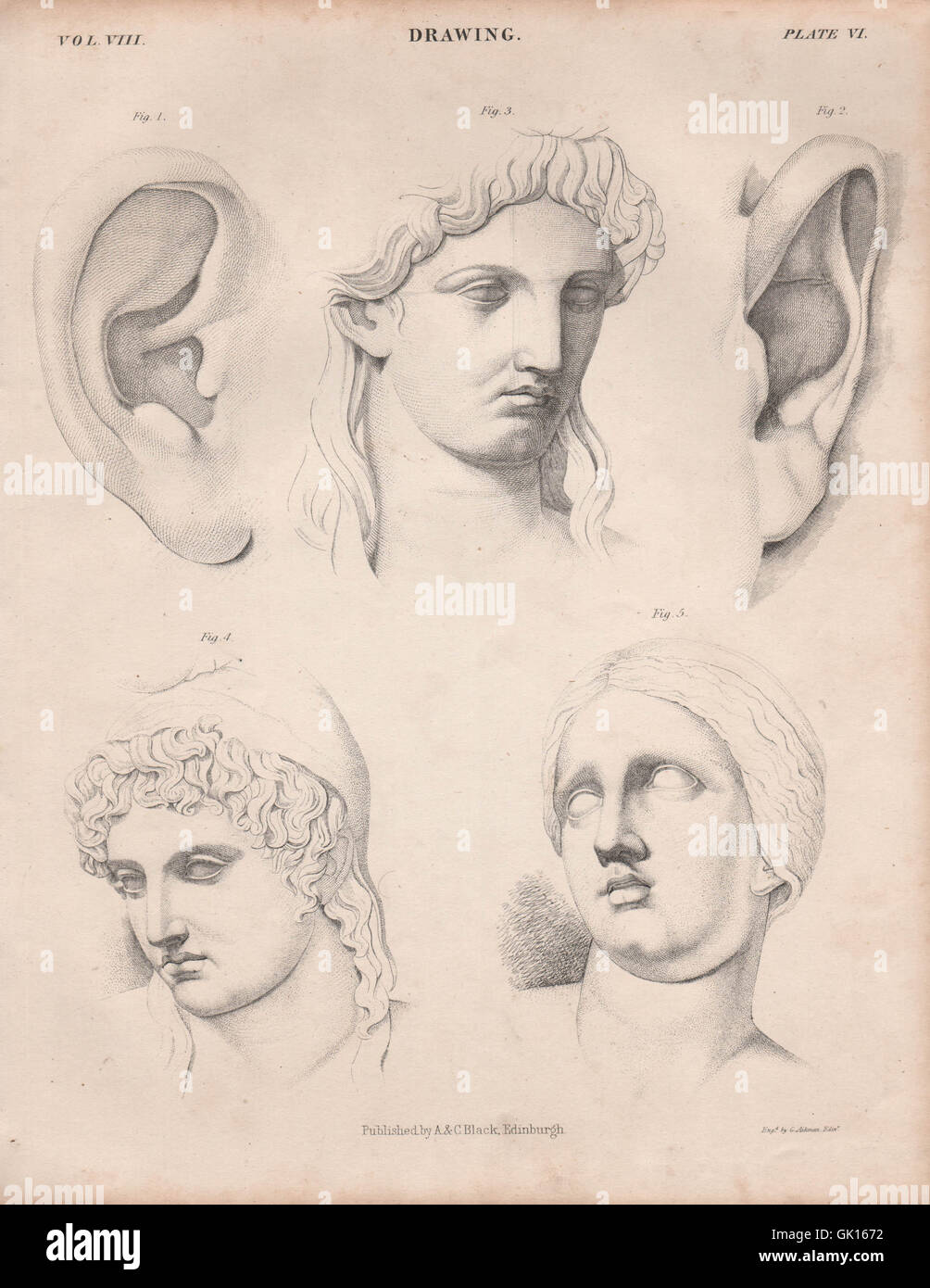 Figurative drawing. Face ears. BRITANNICA, antique print 1860 Stock Photo