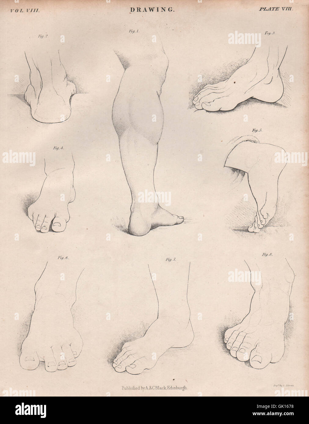 Figurative drawing. Feet legs calves. BRITANNICA, antique print 1860 Stock Photo