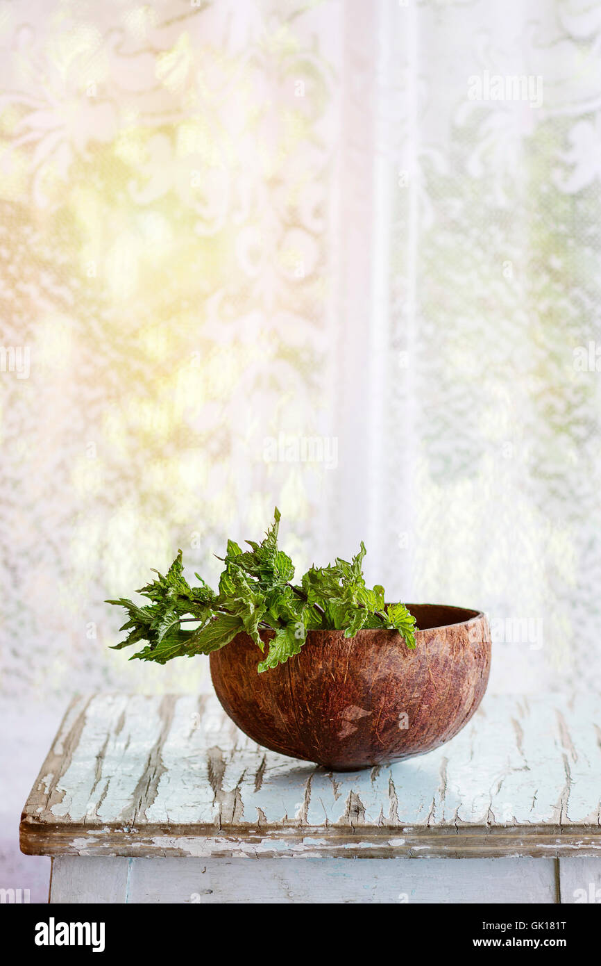 Bouquet of fresh aromatic mint herbs in half of coconut shell on old wooden table with window at background. Rustic style, natur Stock Photo