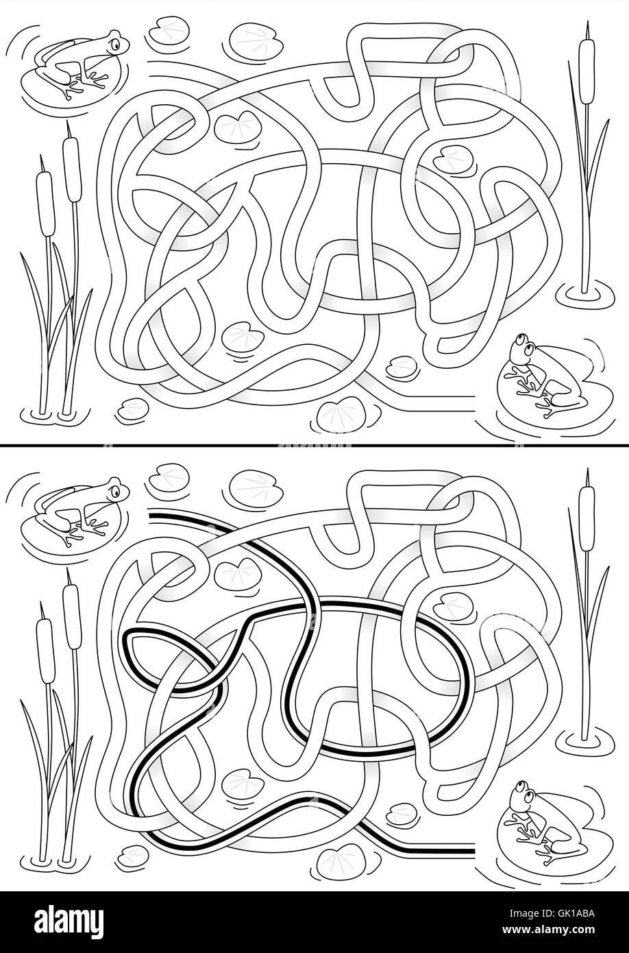 Labyrinth Frog High Resolution Stock Photography and Images - Alamy