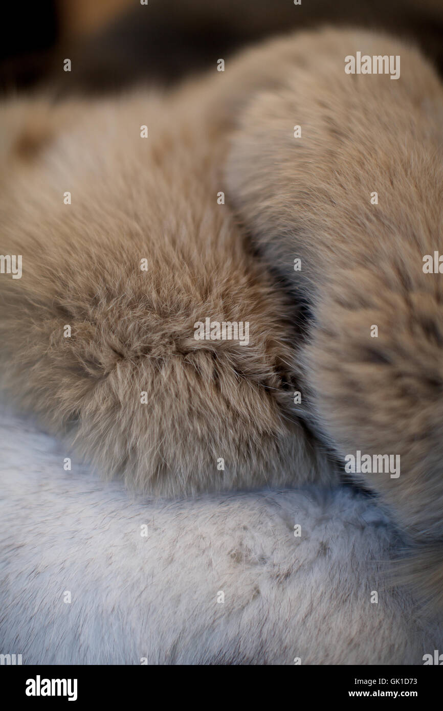 close up of fur jacket. texture, coat, animal hair, soft. Stock Photo