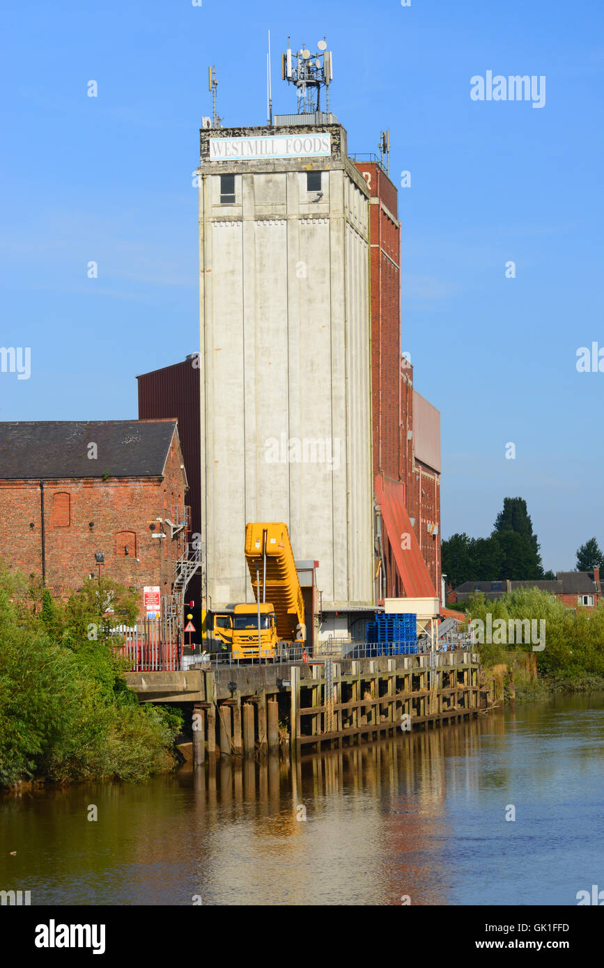 lorry emptying grain into flour mill by the river ouse selby yorkshire united kingdom Stock Photo