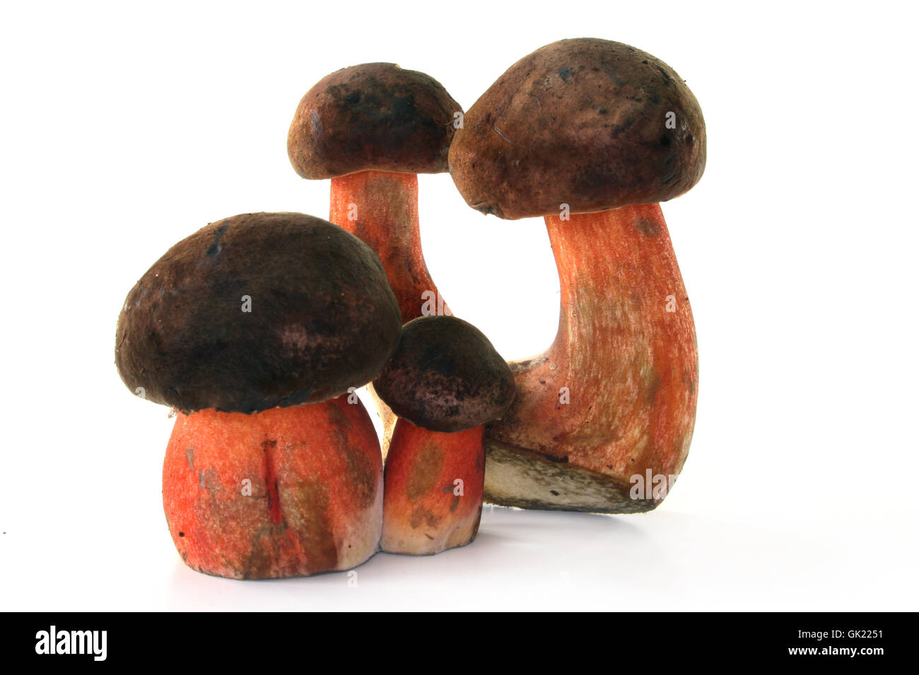 kitchen cuisine mushroom Stock Photo