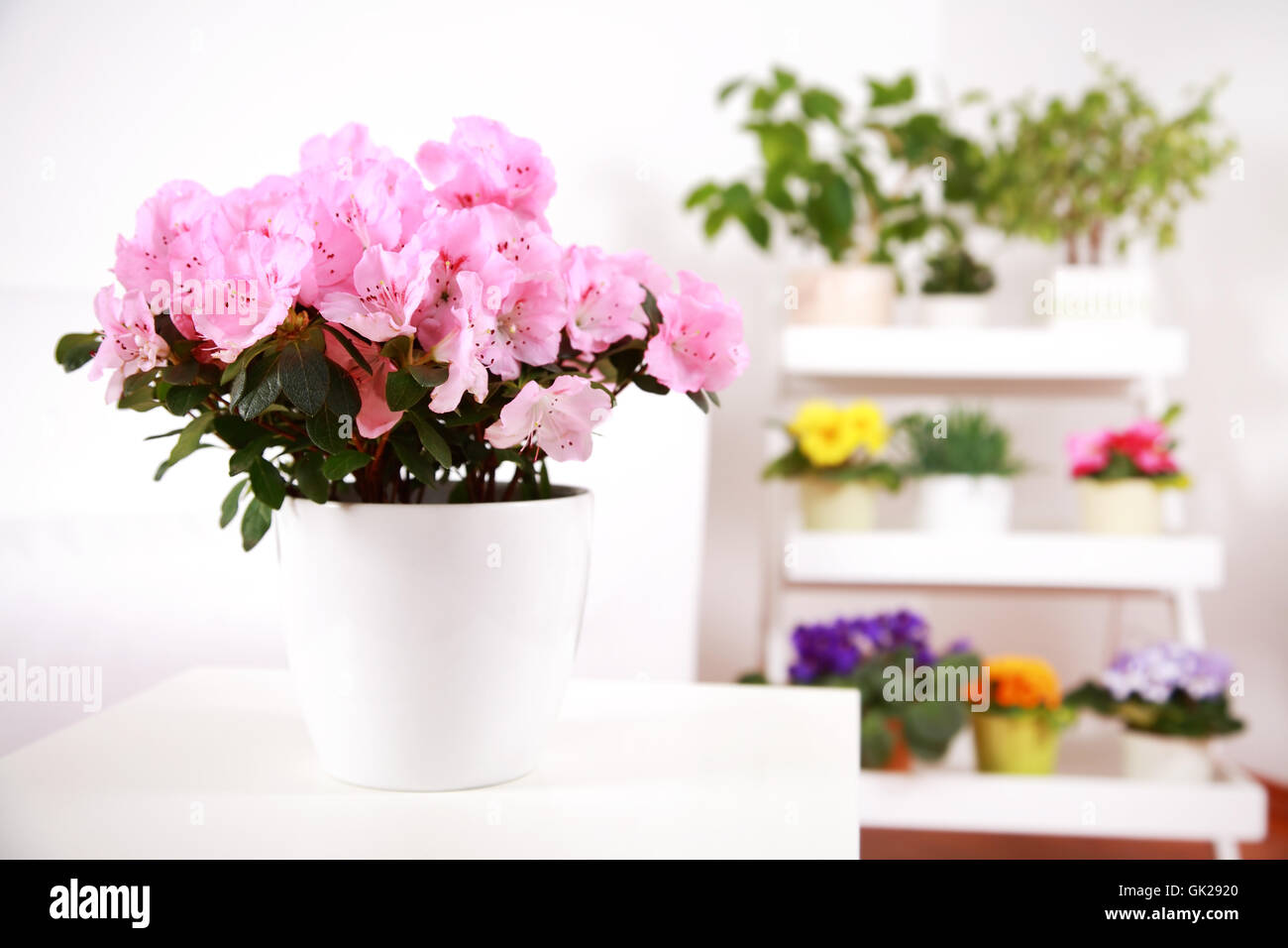 life exist existence Stock Photo