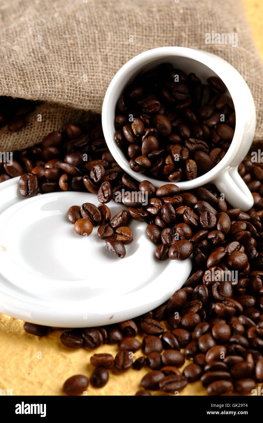 bermuda adidas summer legend