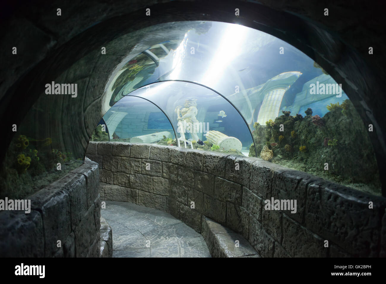 Sea Life Porto aquarium tunnel in Porto, Portugal, Europe Stock Photo