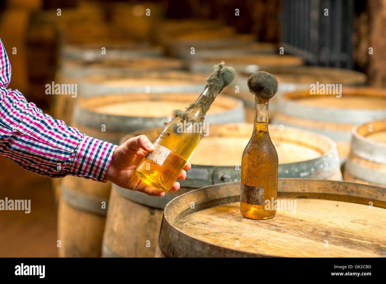 Wine bottles black mold in cellar Stock Photo Alamy
