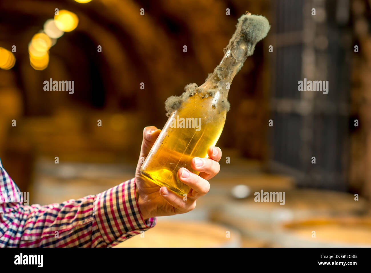 Wine bottles black mold in cellar Stock Photo Alamy