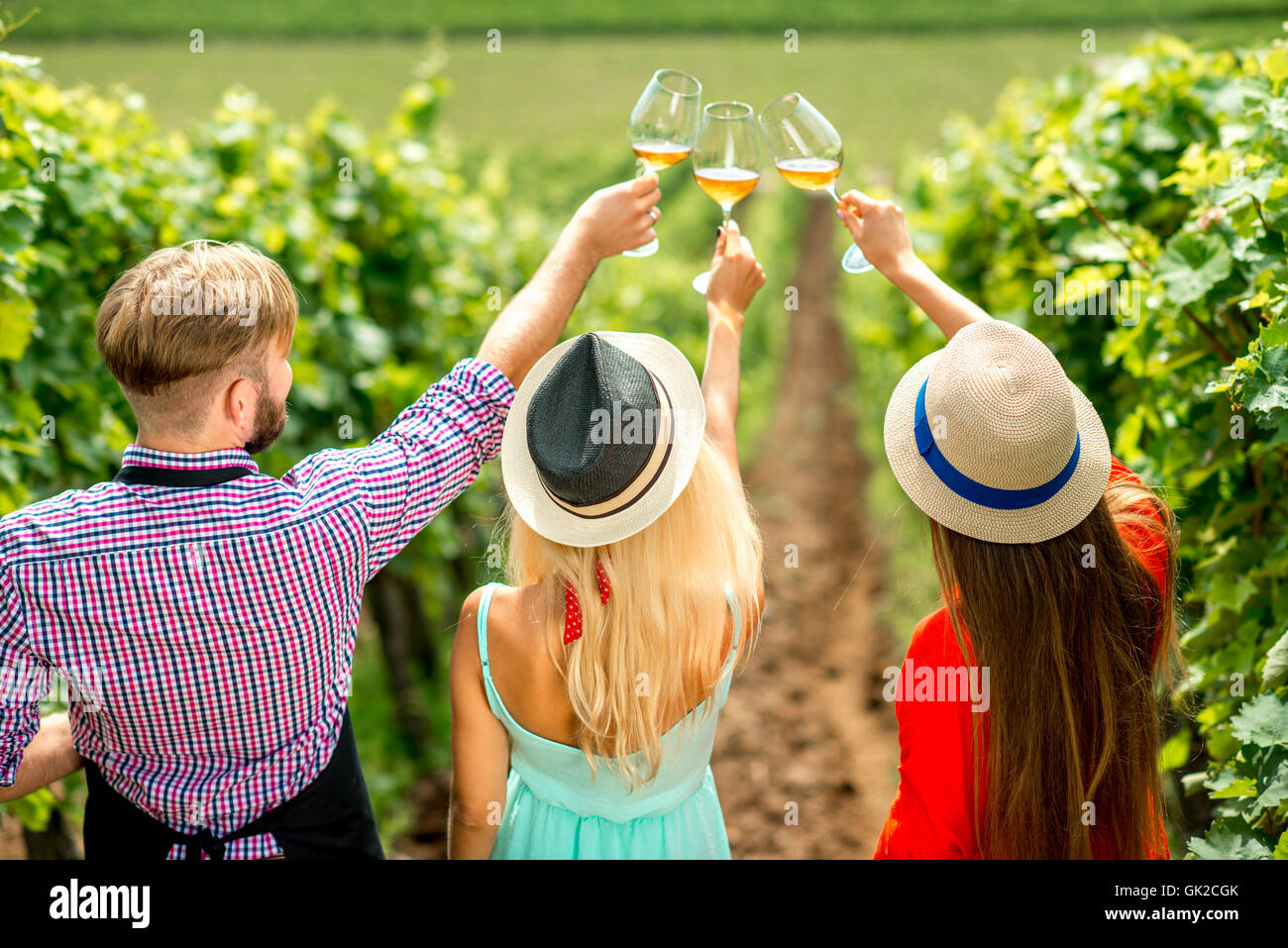 Wine degustation on the vineyard Stock Photo