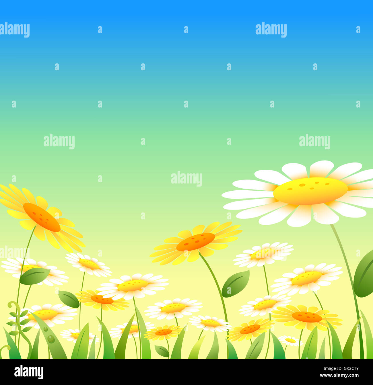 flower plant daisy Stock Photo - Alamy