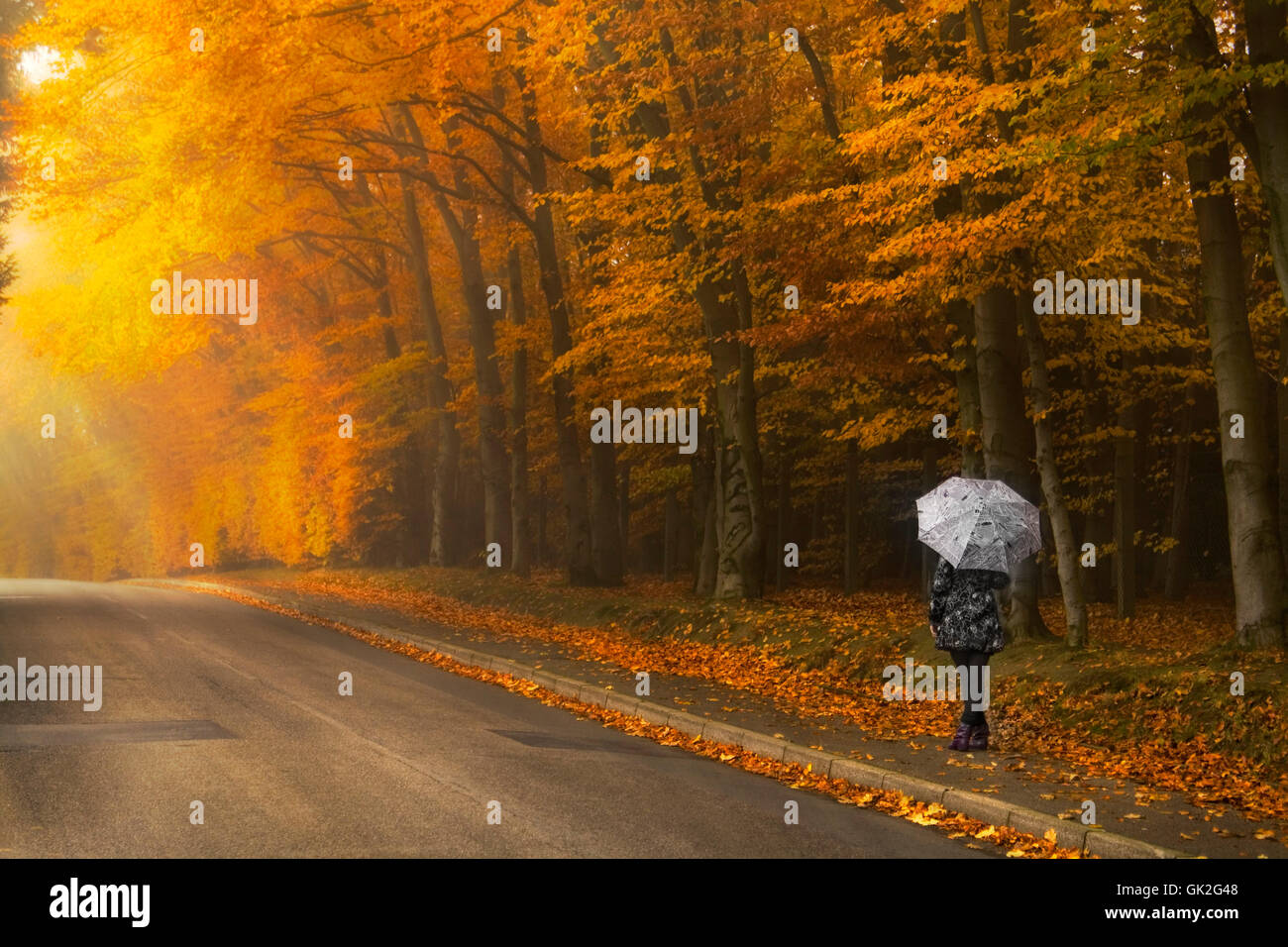 woman shine shines Stock Photo