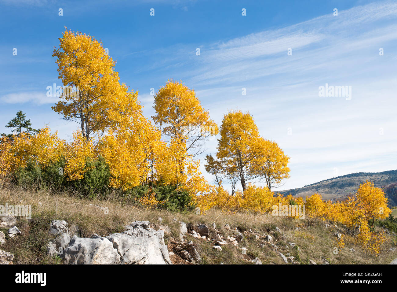 Composition in landscape hi-res stock photography and images - Alamy
