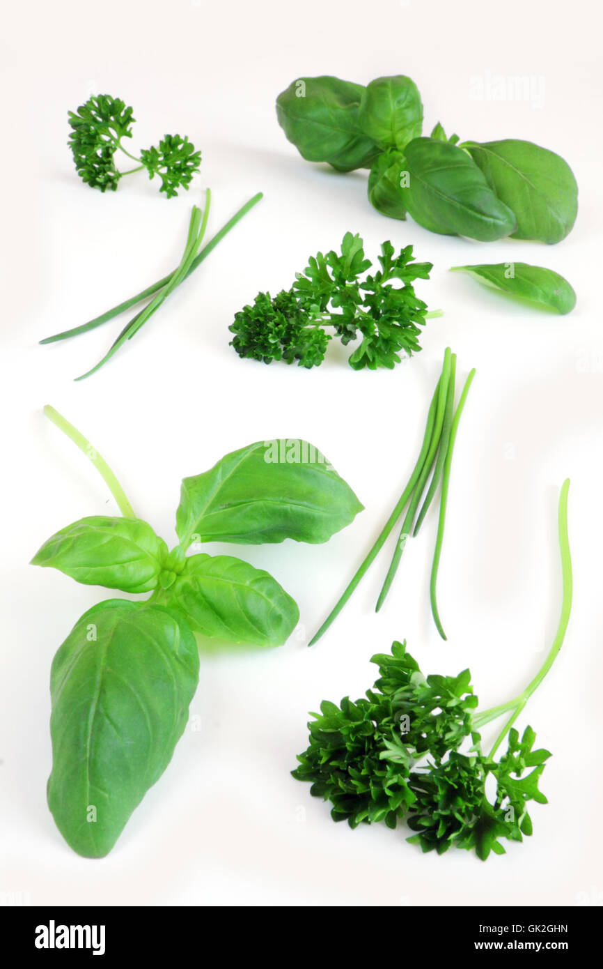 isolated basil parsley Stock Photo Alamy