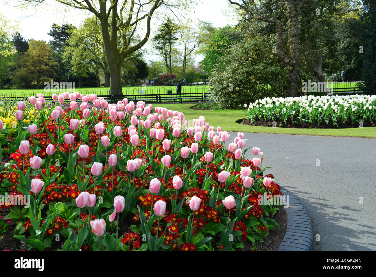 Flowers in Belfast Stock Photo Alamy
