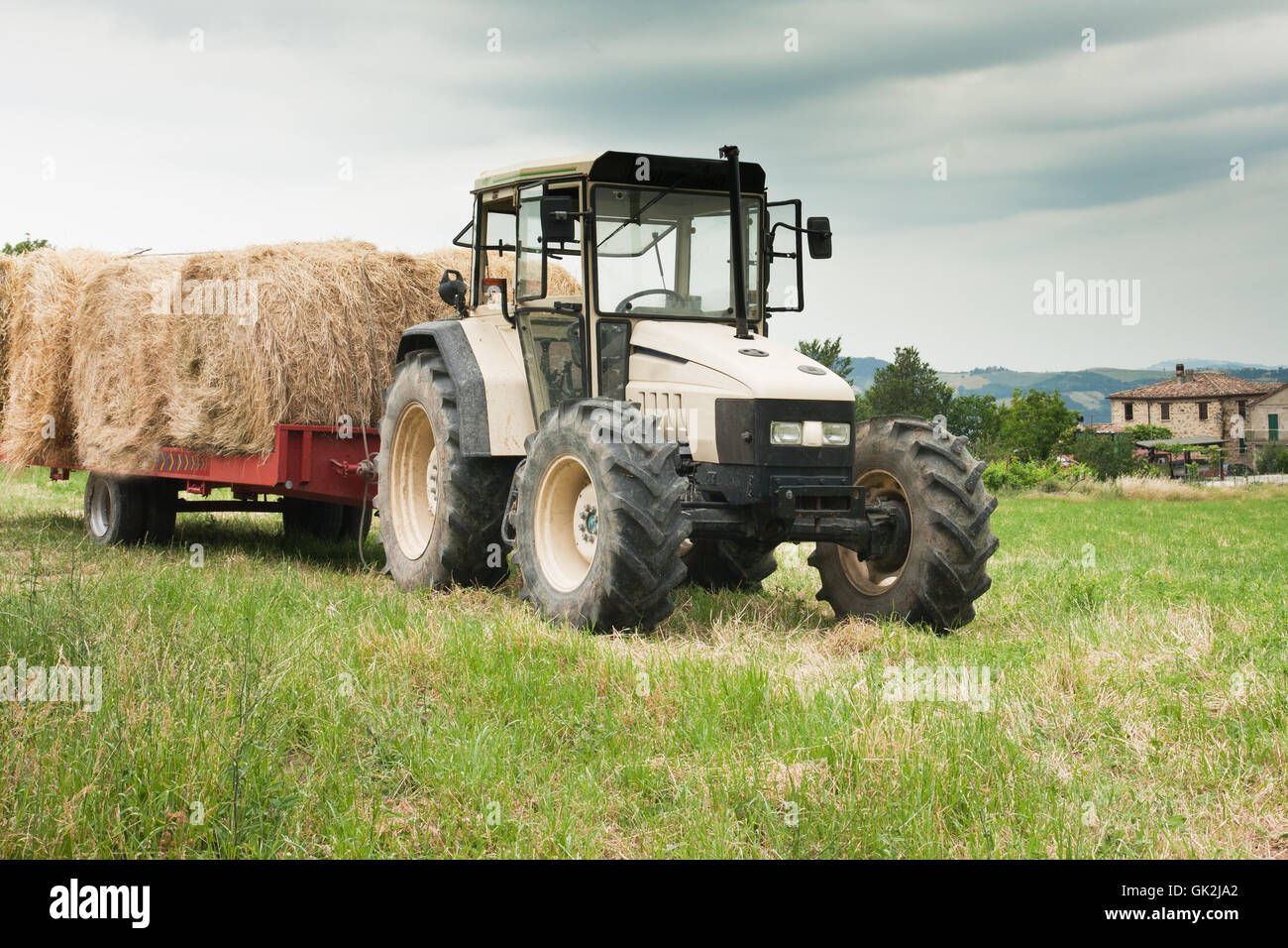 agriculture in the marche region,italy Stock Photo