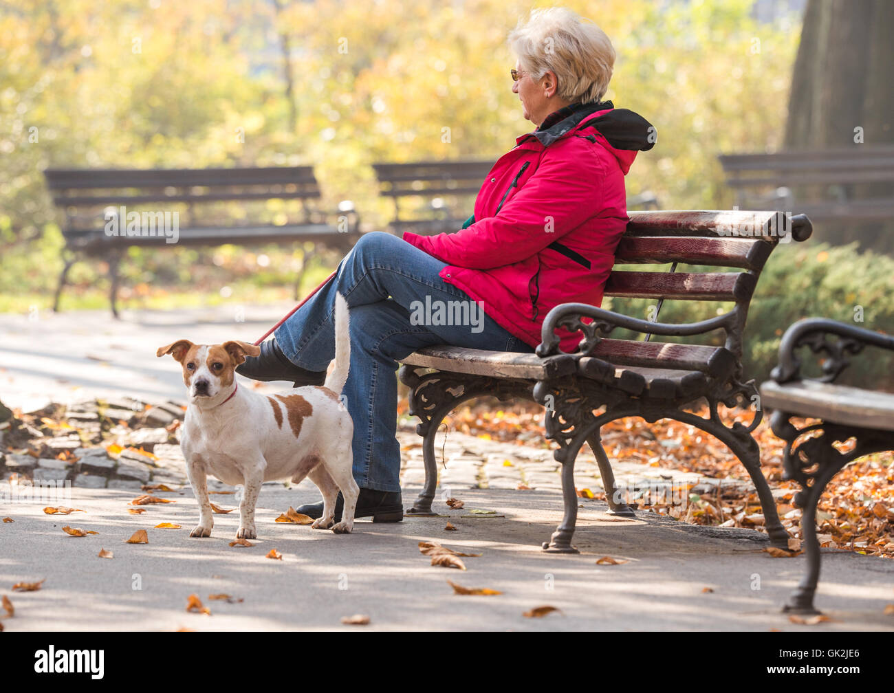 Happy elderly lady with dog hi-res stock photography and images - Alamy