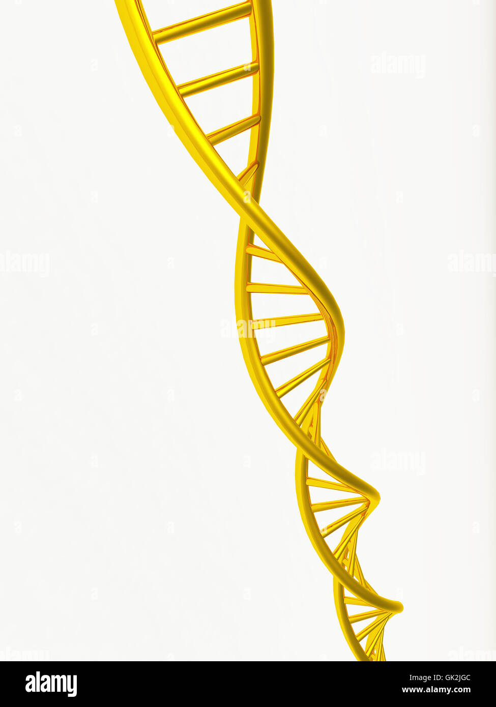 genes genetics allodium Stock Photo