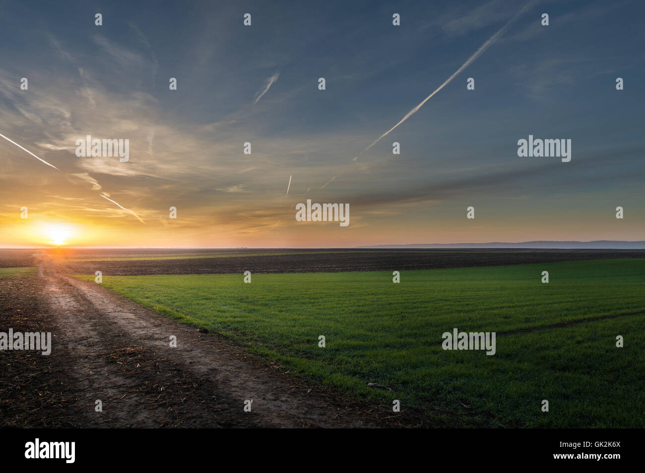 Sunrise over a field hi-res stock photography and images - Alamy