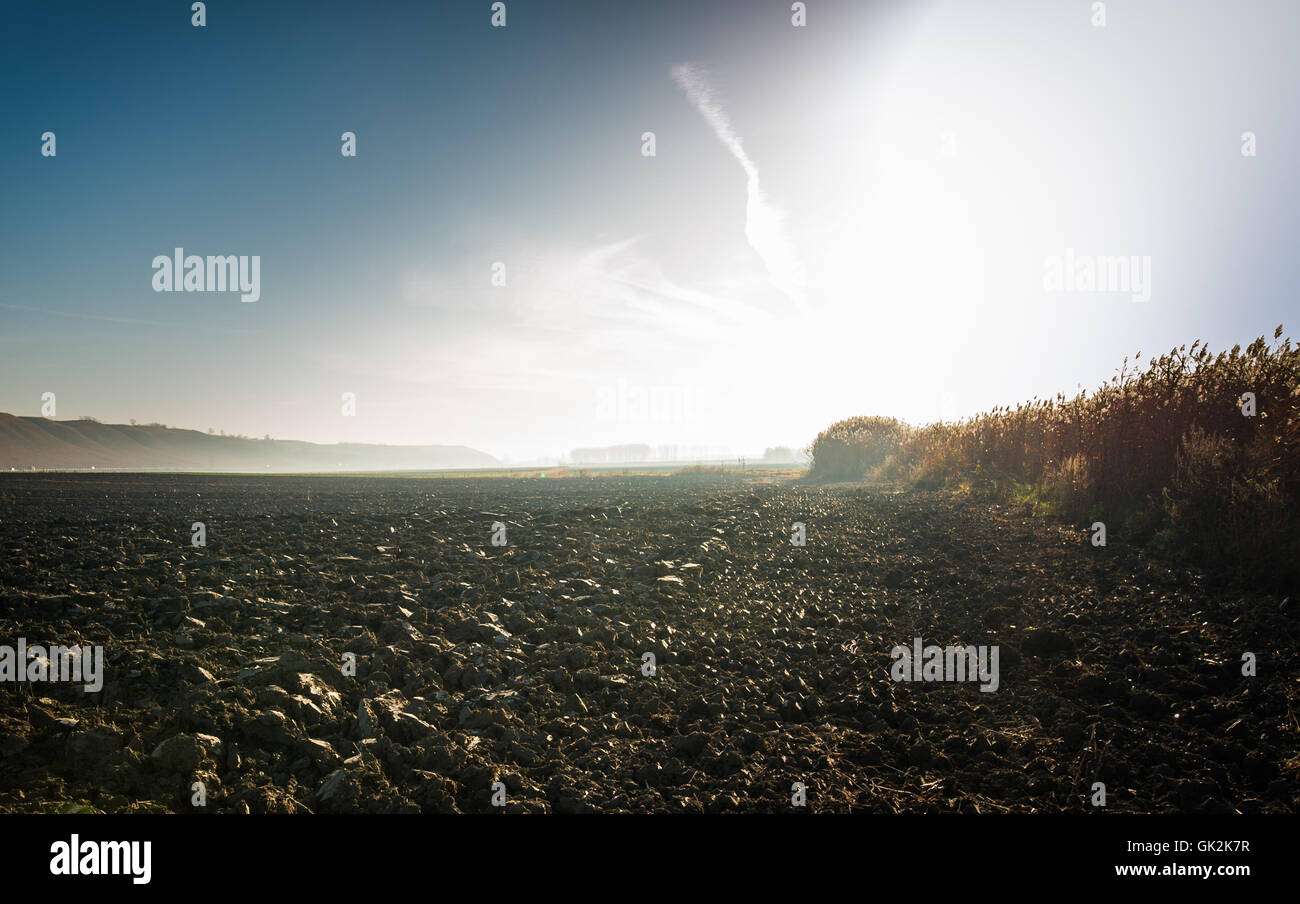 Sunrise over a field hi-res stock photography and images - Alamy