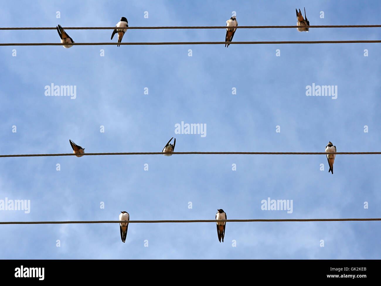 wait waiting environment Stock Photo