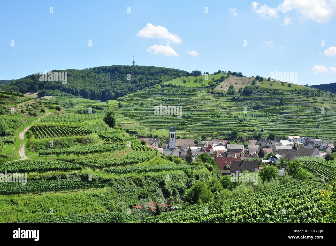 green agriculture farming Stock Photo - Alamy