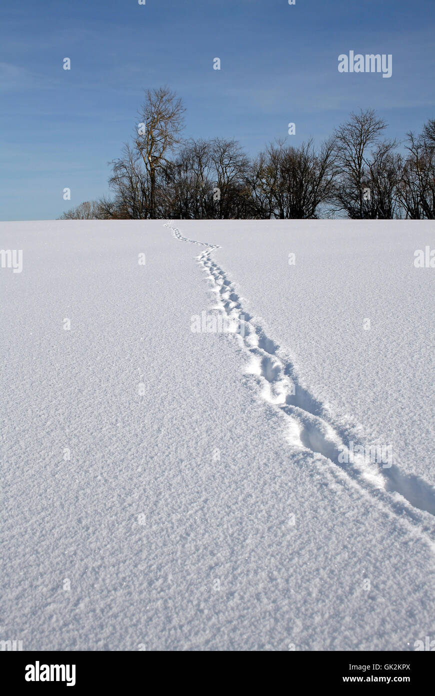 blue winter cold Stock Photo - Alamy