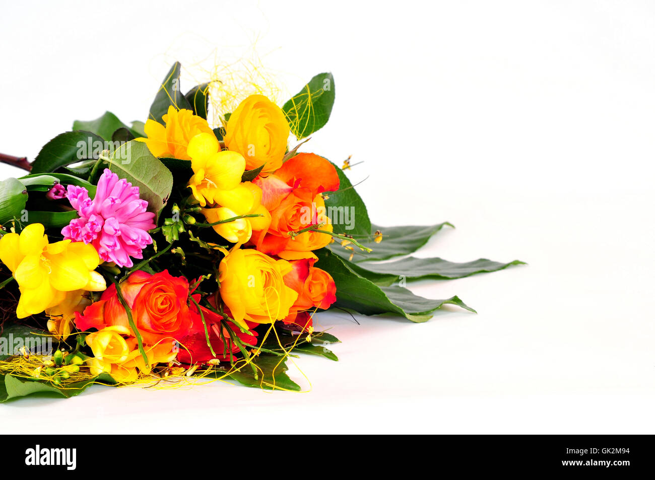Bellis perennis bouquet hi-res stock photography and images - Alamy