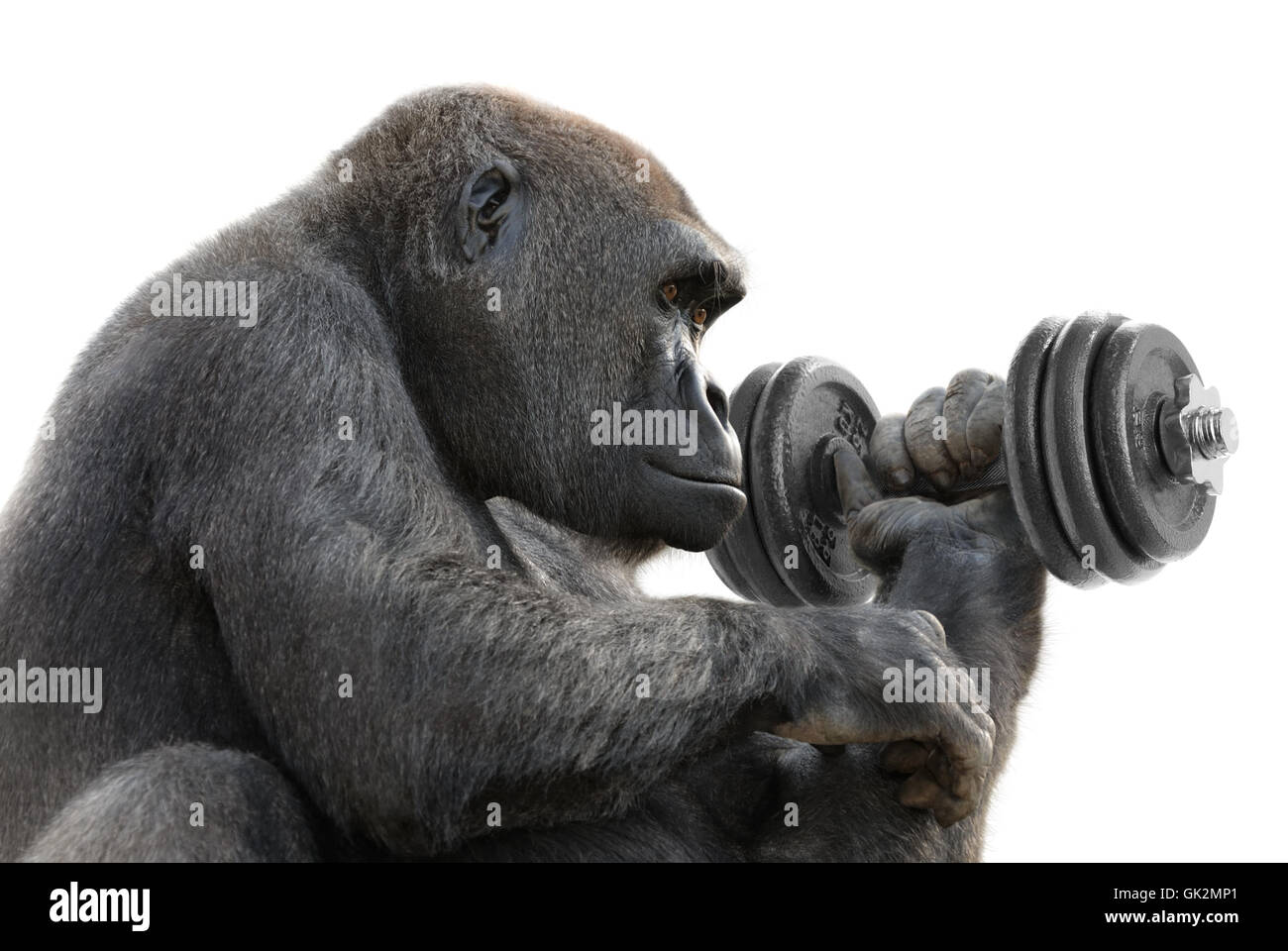 sport sports humour Stock Photo - Alamy