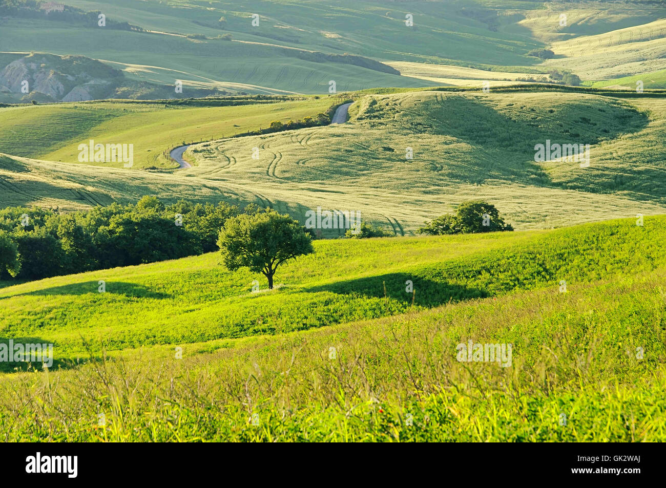 toskana huegel - tuscany hills 52 Stock Photo