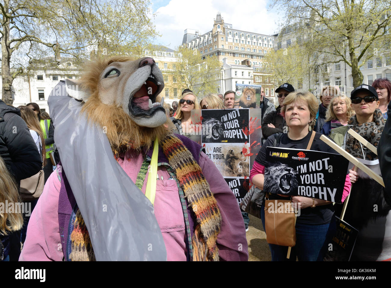 Actors James Cosmo and Virginia McKenna join animal charity campaigners at Downing Street calling for action to ban lion trophy hunting and an end to lion trophy imports into the UK  Featuring: Protestors Where: London, United Kingdom When: 30 Apr 2016 Stock Photo