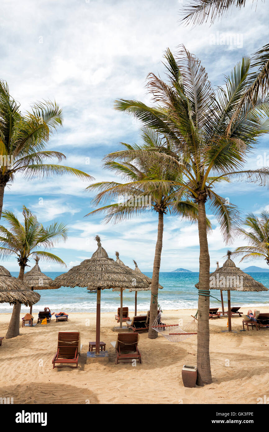 Lounge chairs and thatched parasols under palm trees on Cua Dai Beach. Hoi An, Quang Nam Province, Vietnam. Stock Photo