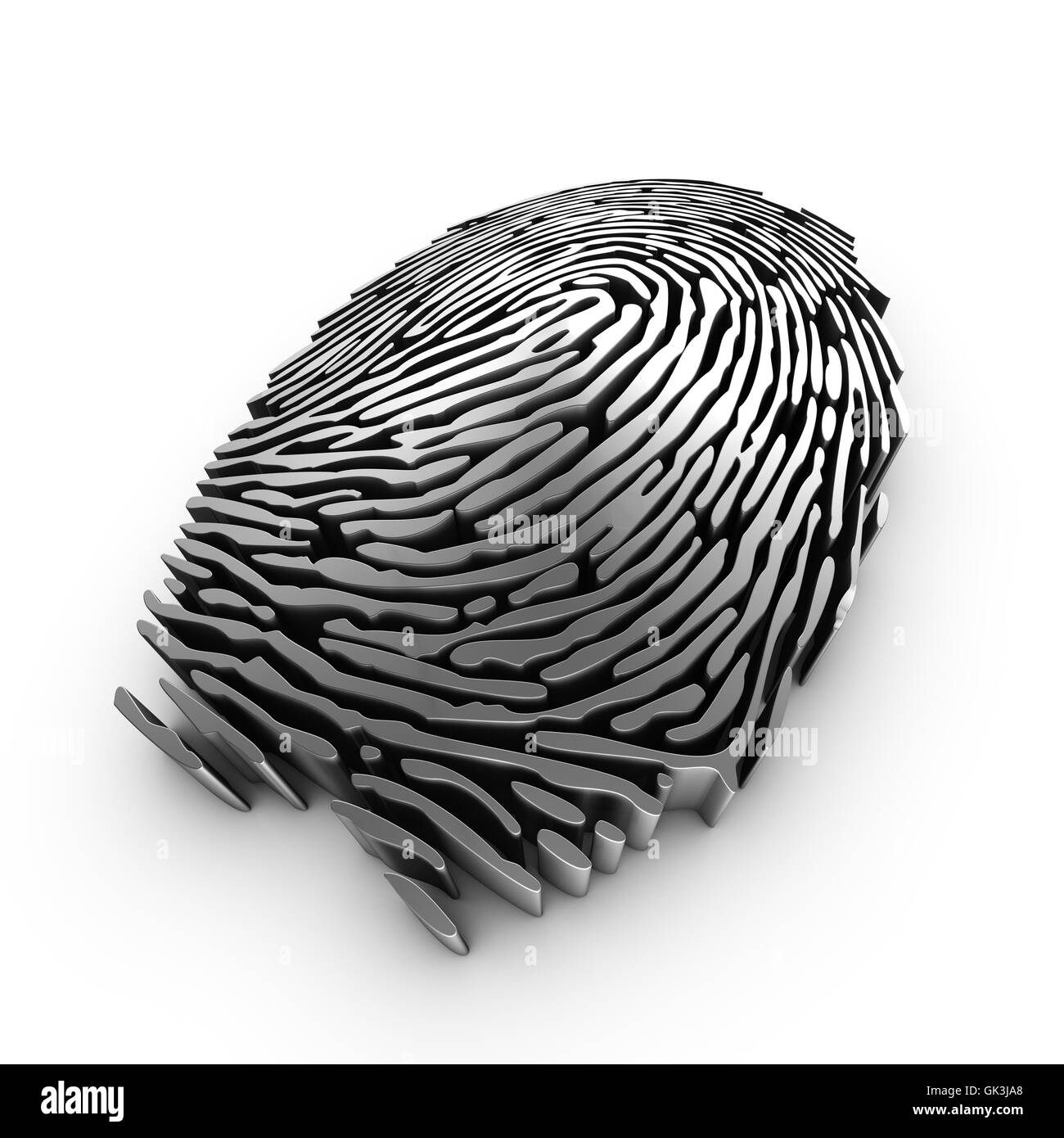 Fingerprint loop pattern black and white stock photos images alamy