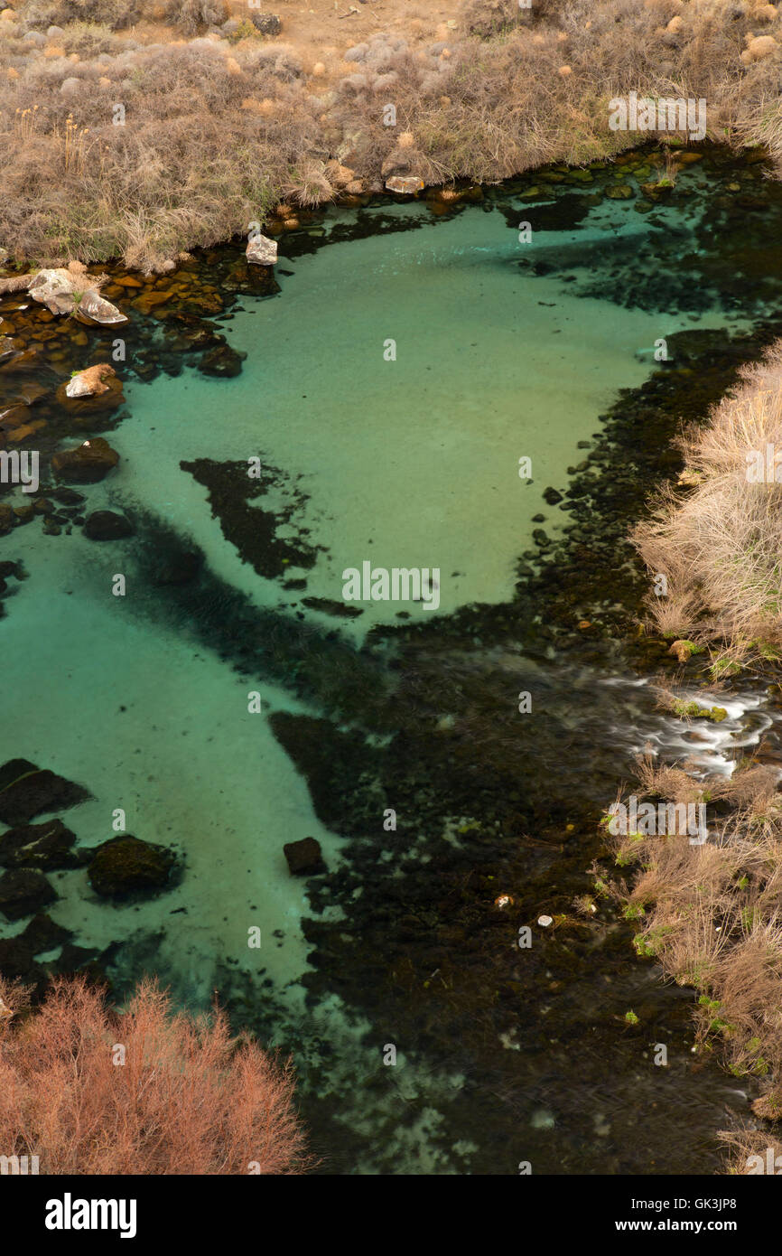 Earl hardy box canyon springs nature preserve hires stock photography