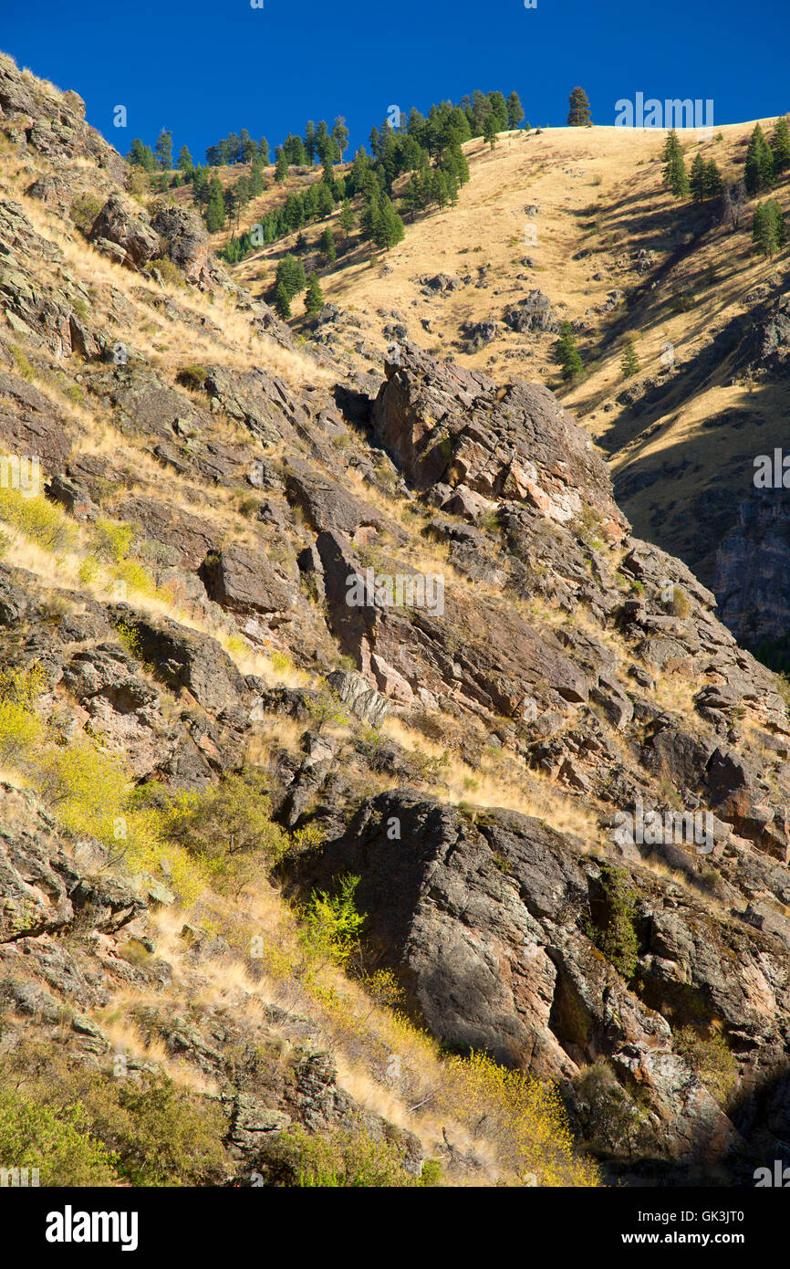 Canyon along Kinney Creek Trail, Hells Canyon Seven Devils Scenic Area